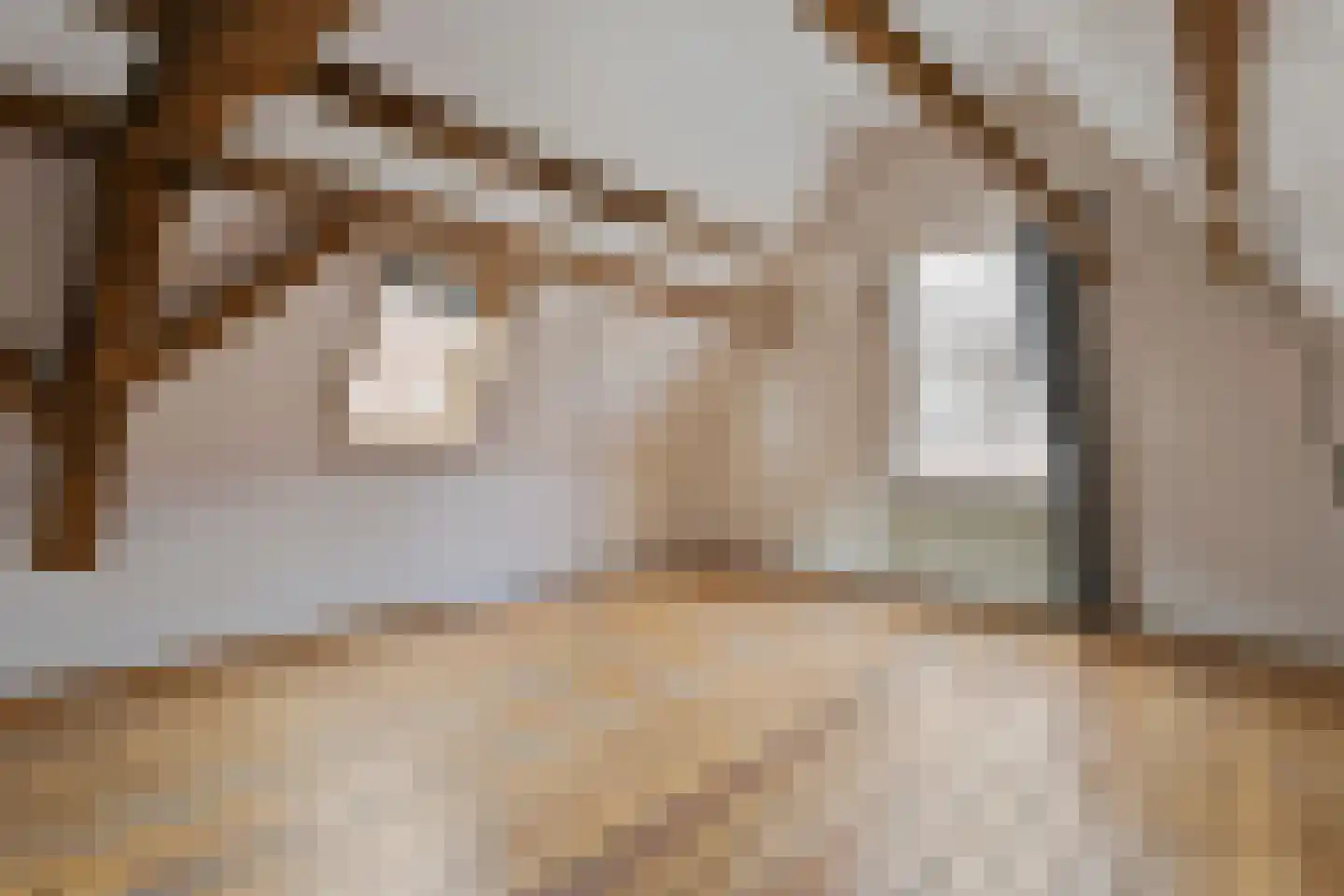 Kolonel Wilsstraat 8 Ravenstein thumbnail 21