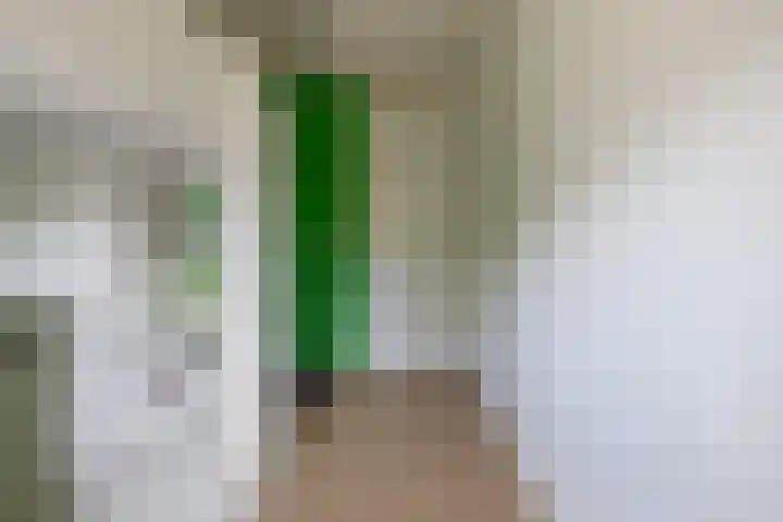Kolonelsdiep 10 Oldekerk thumbnail 19
