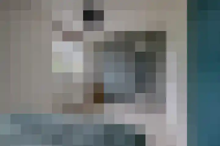 Kolonelsdiep 10 Oldekerk thumbnail 26