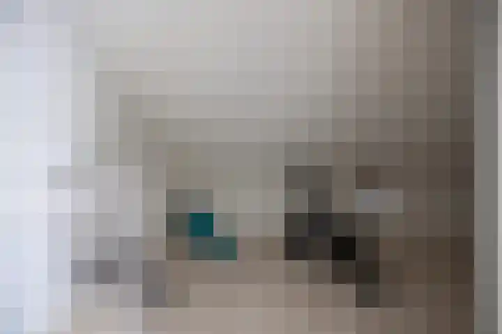 Kolonelsdiep 10 Oldekerk thumbnail 32