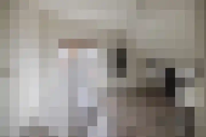 Kolonelsdiep 10 Oldekerk thumbnail 33