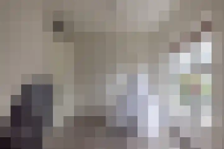 Kolonelsdiep 10 Oldekerk thumbnail 35