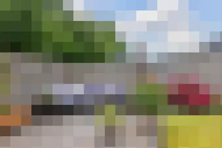 Kolonelsdiep 10 Oldekerk thumbnail 36