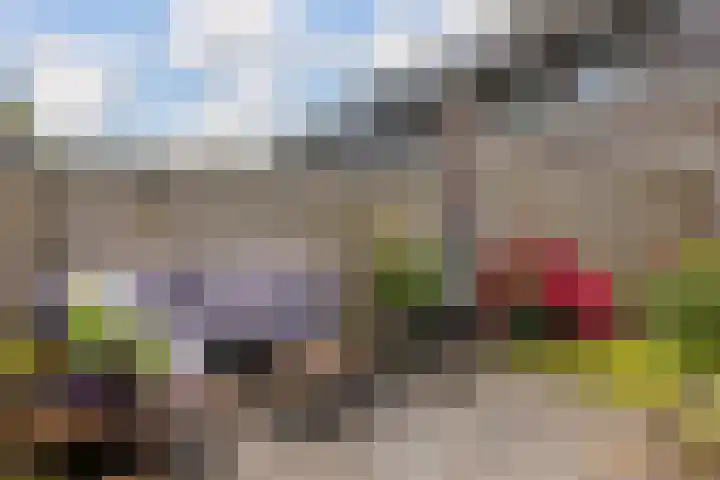 Kolonelsdiep 10 Oldekerk thumbnail 37