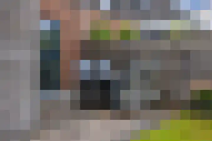 Kolonelsdiep 10 Oldekerk thumbnail 38