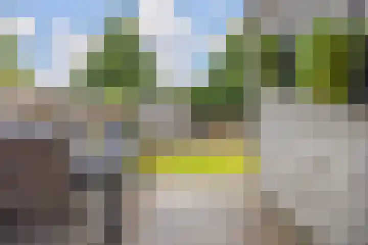 Kolonelsdiep 10 Oldekerk thumbnail 39
