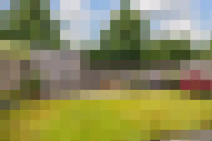 Kolonelsdiep 10 Oldekerk thumbnail 41