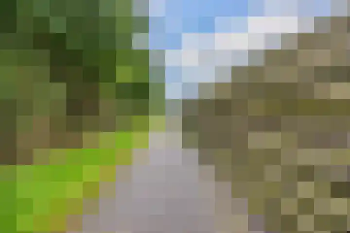 Kolonelsdiep 10 Oldekerk thumbnail 43