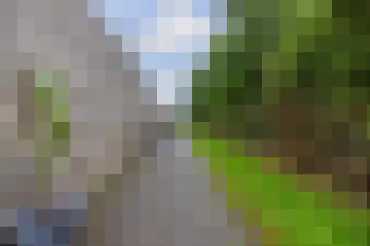 Kolonelsdiep 10 Oldekerk thumbnail 44