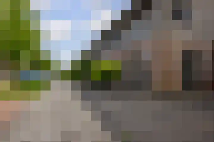 Kolonelsdiep 10 Oldekerk thumbnail 49