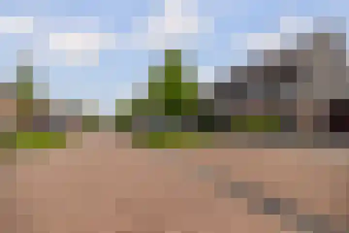 Kolonelsdiep 10 Oldekerk thumbnail 50