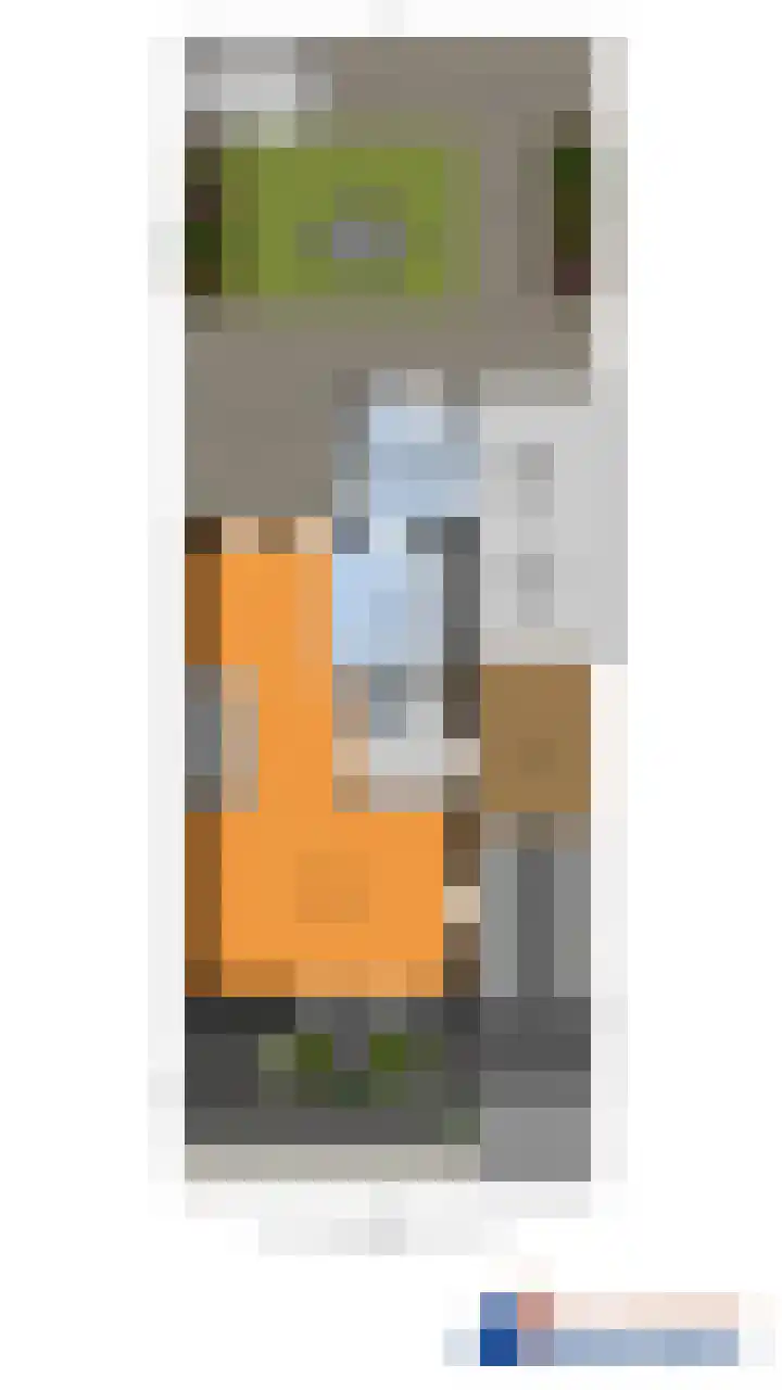 Kolonelsdiep 10 Oldekerk thumbnail 51
