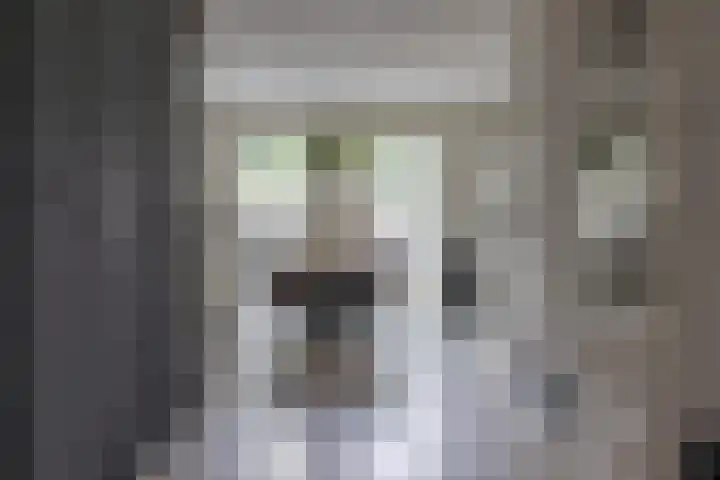 Kolonelsdiep 10 Oldekerk thumbnail 6