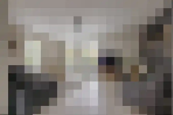 Kolonelsdiep 10 Oldekerk thumbnail 7