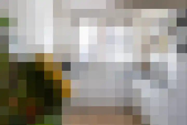 Kolonelsdiep 5 Oldekerk thumbnail 14