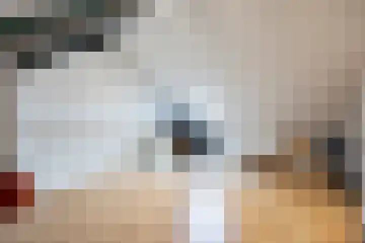 Kolonelsdiep 5 Oldekerk thumbnail 26