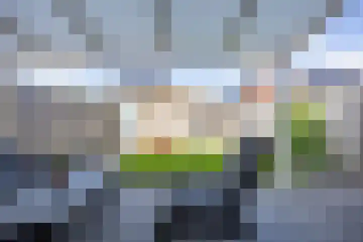 Kolonelsdiep 5 Oldekerk thumbnail 27