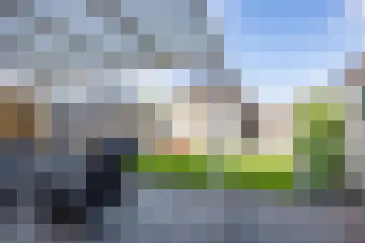 Kolonelsdiep 5 Oldekerk thumbnail 29