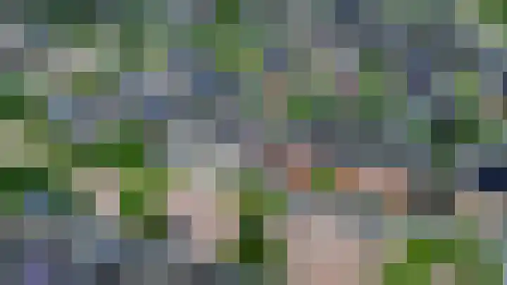 Kolonelsdiep 5 Oldekerk thumbnail 35