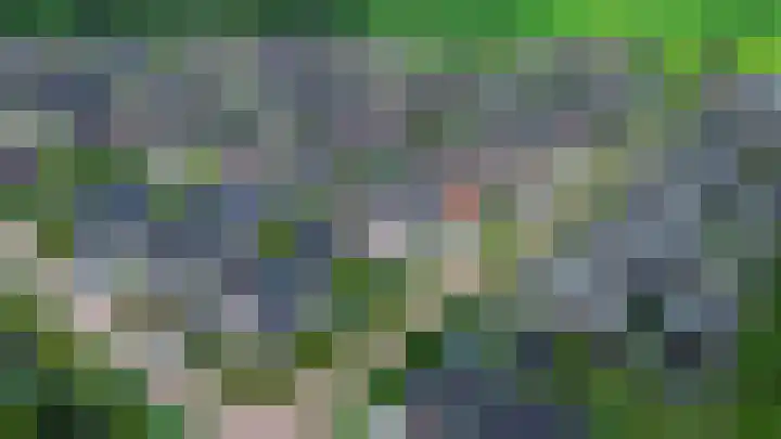 Kolonelsdiep 5 Oldekerk thumbnail 36