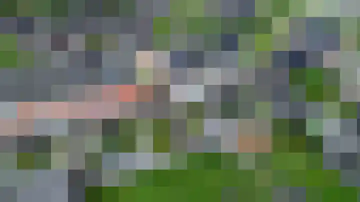 Kolonelsdiep 5 Oldekerk thumbnail 37