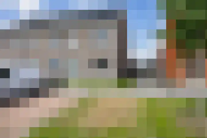 Kolonelsdiep 5 Oldekerk thumbnail 47