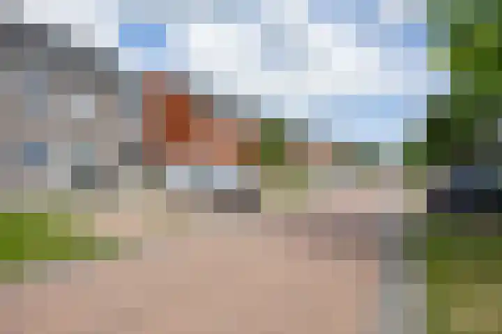 Kolonelsdiep 5 Oldekerk thumbnail 6
