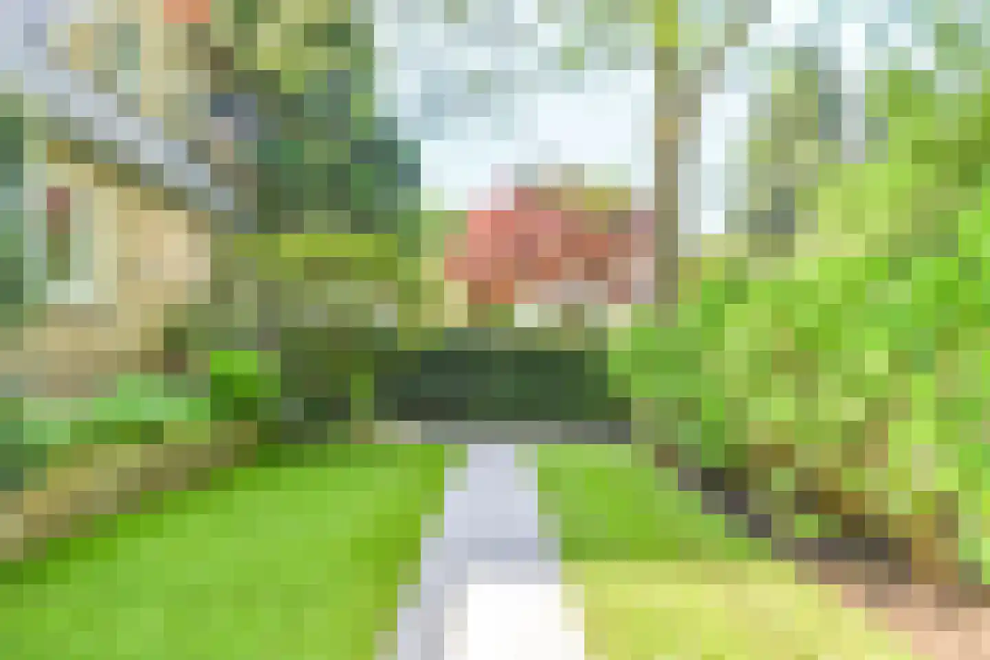 Koloniepad 18 Laren thumbnail 35