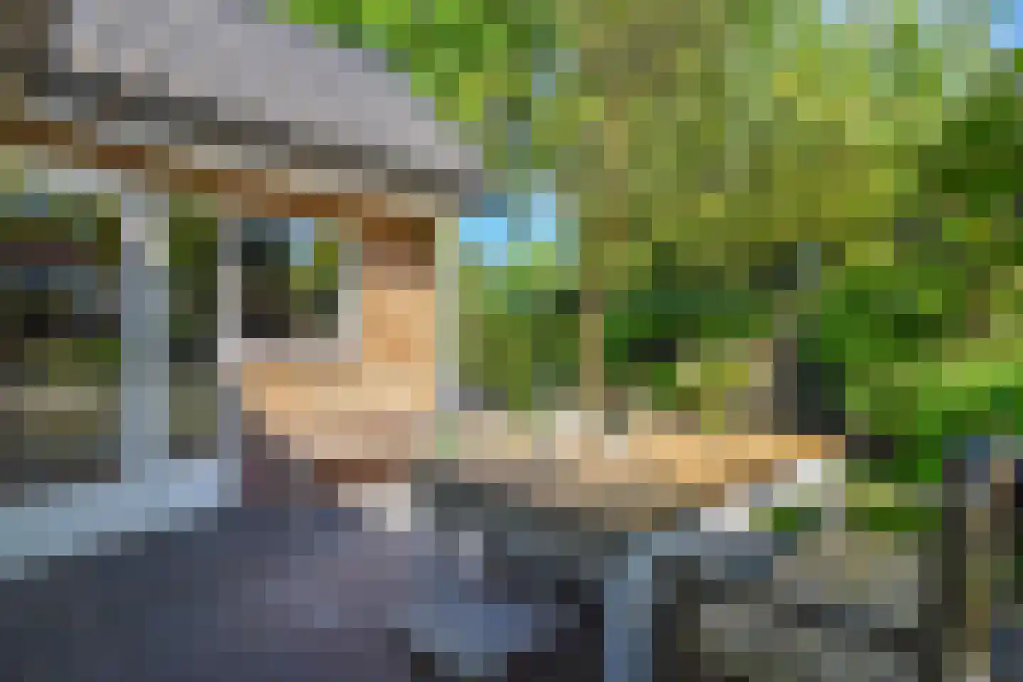 Koloniepad 18 Laren thumbnail 38