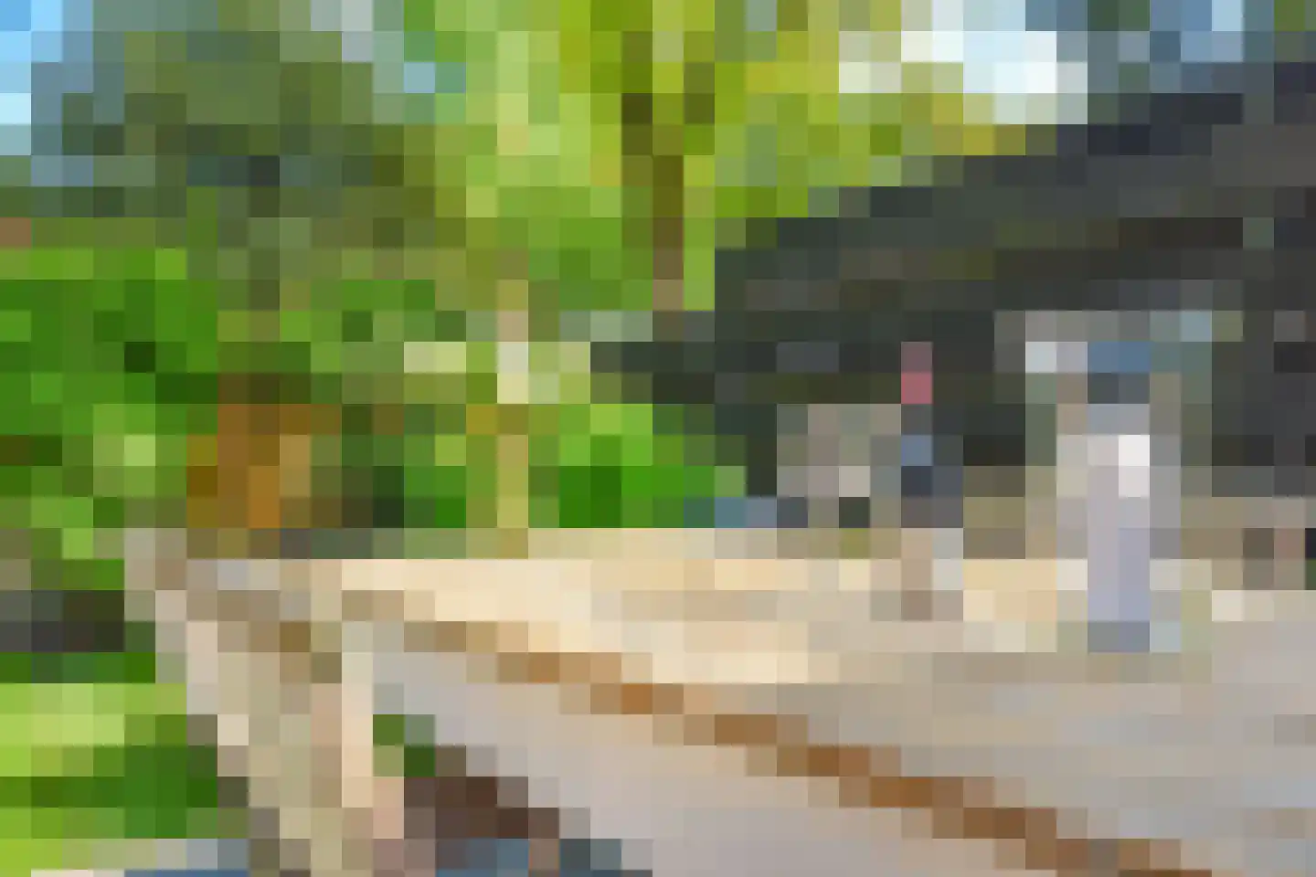 Koloniepad 18 Laren thumbnail 39