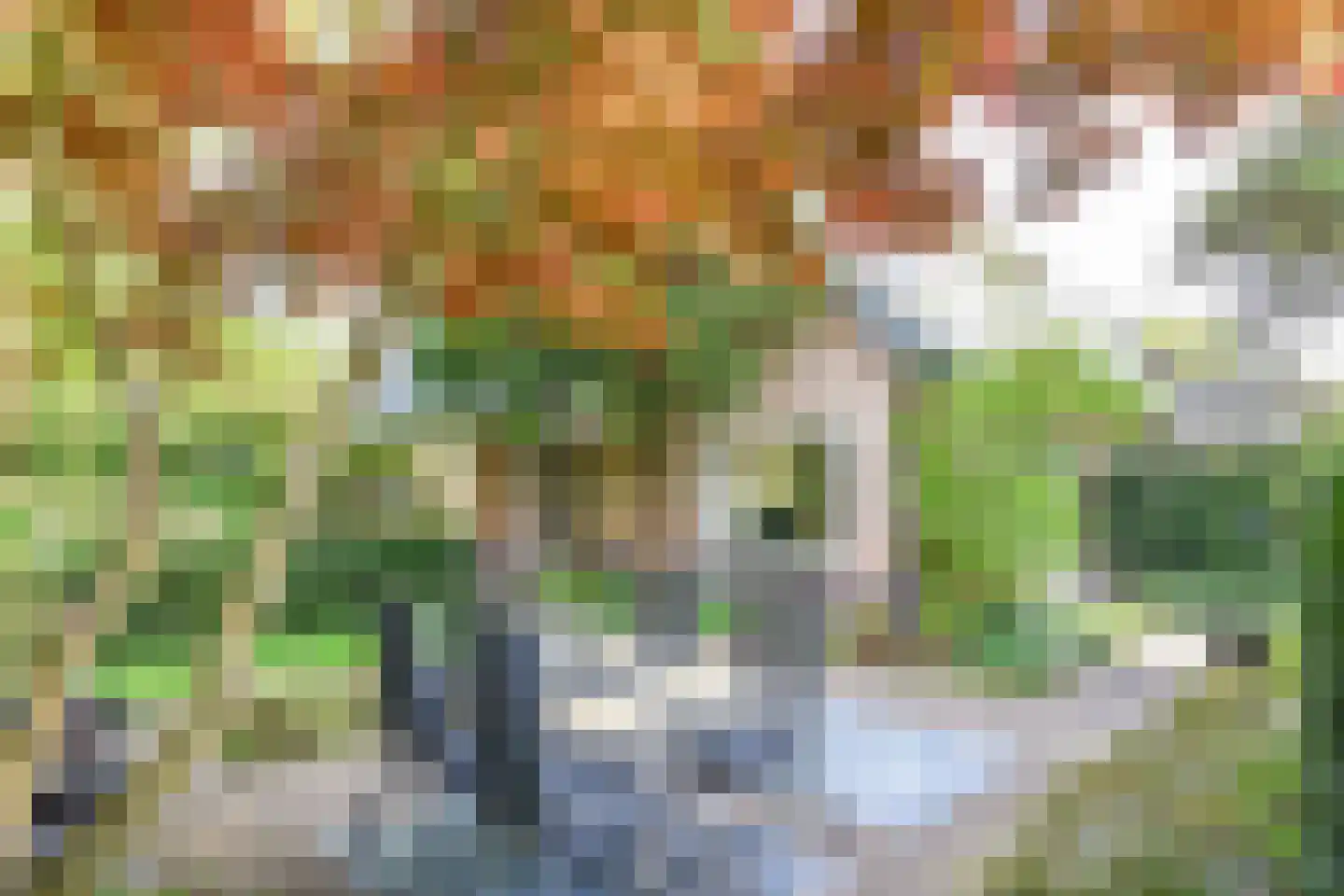 Koloniepad 18 Laren thumbnail 41