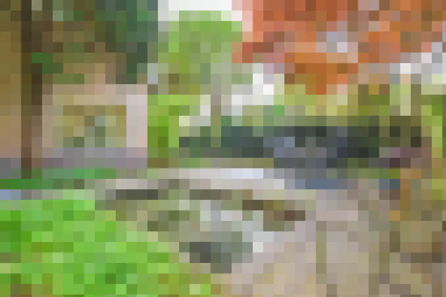 Koloniepad 18 Laren thumbnail 42