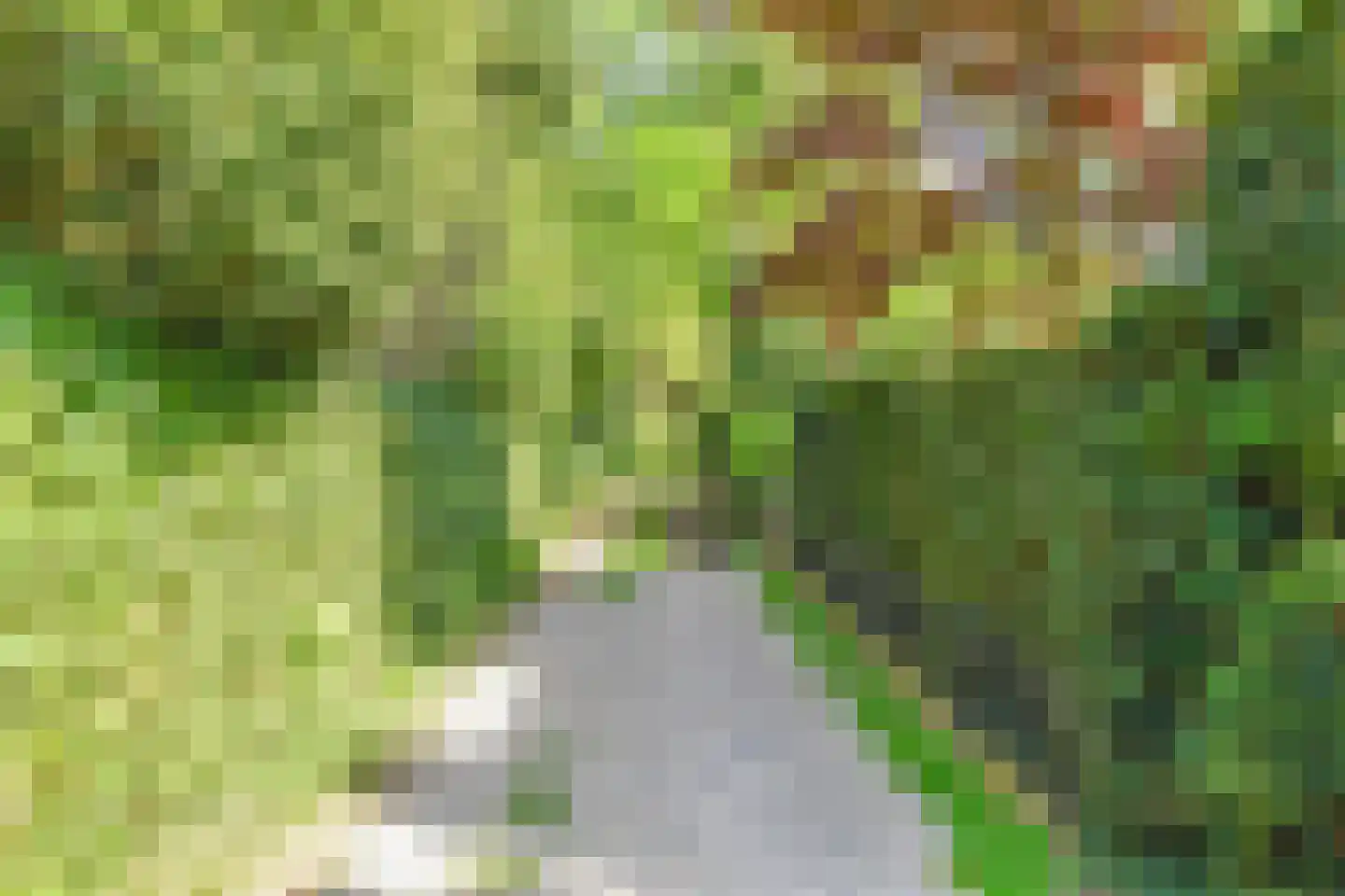 Koloniepad 18 Laren thumbnail 45