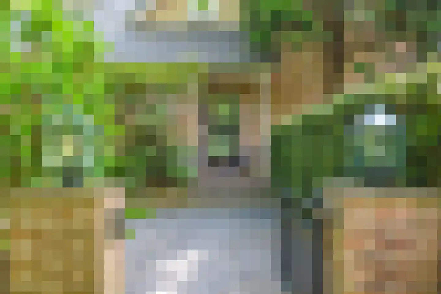 Koloniepad 18 Laren thumbnail 48