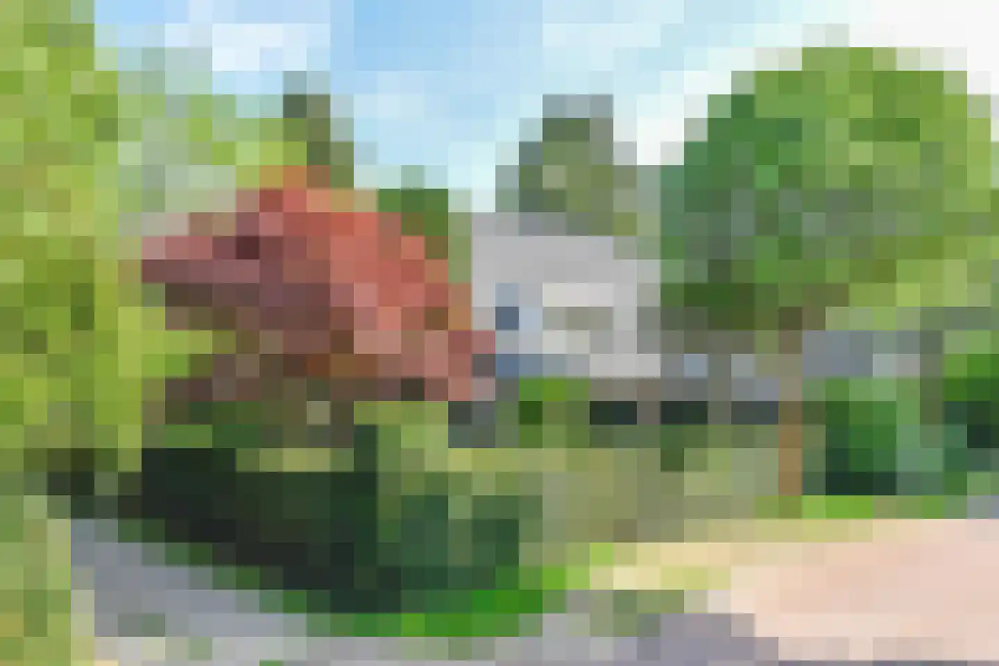 Koloniepad 18 Laren thumbnail 5