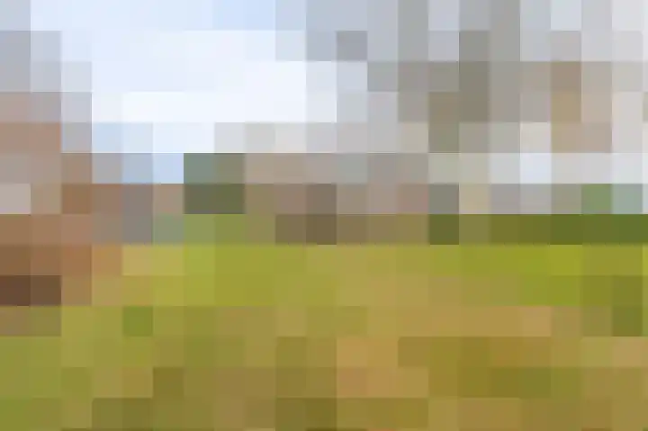 Koloniesweg 5 Bellingwolde thumbnail 10