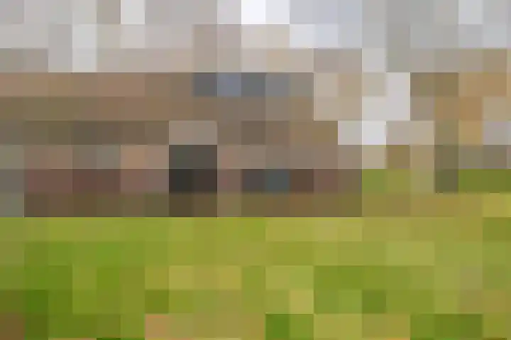 Koloniesweg 5 Bellingwolde thumbnail 11