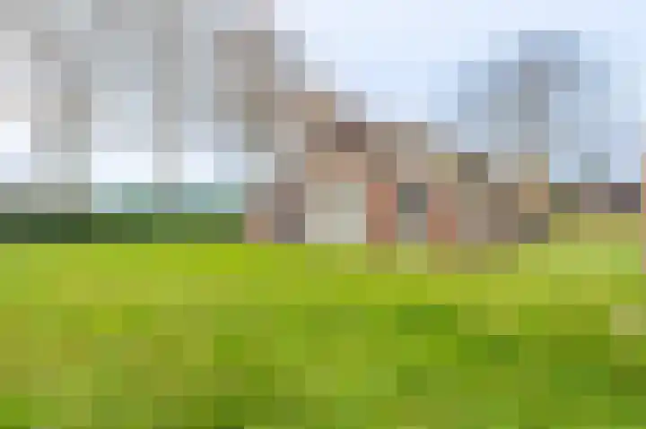 Koloniesweg 5 Bellingwolde thumbnail 12