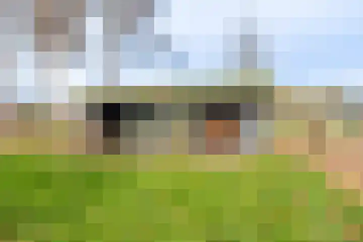 Koloniesweg 5 Bellingwolde thumbnail 13