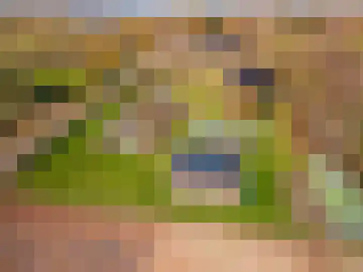 Koloniesweg 5 Bellingwolde thumbnail 15
