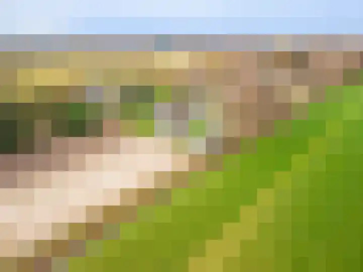 Koloniesweg 5 Bellingwolde thumbnail 16