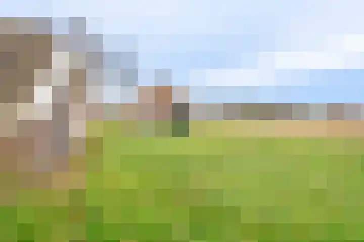 Koloniesweg 5 Bellingwolde thumbnail 17