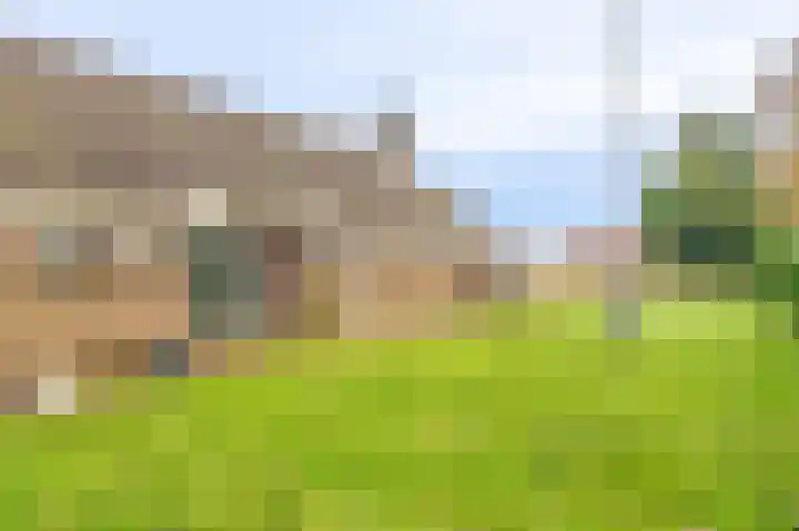 Koloniesweg 5 Bellingwolde thumbnail 18