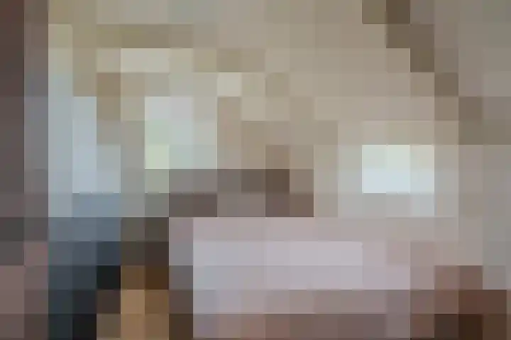 Koloniesweg 5 Bellingwolde thumbnail 31