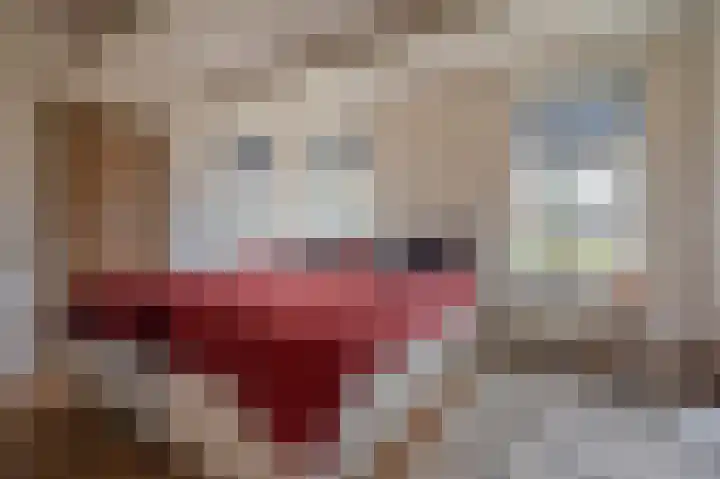 Koloniesweg 5 Bellingwolde thumbnail 32