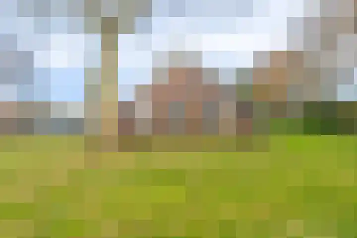 Koloniesweg 5 Bellingwolde thumbnail 4