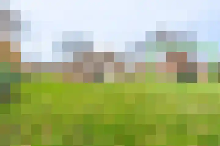 Koloniesweg 5 Bellingwolde thumbnail 42
