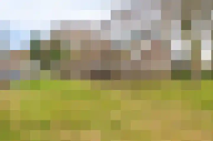Koloniesweg 5 Bellingwolde thumbnail 5