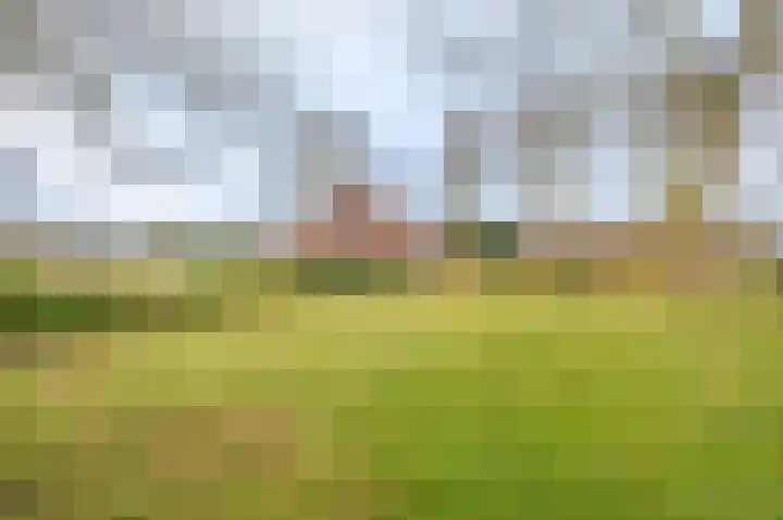 Koloniesweg 5 Bellingwolde thumbnail 7