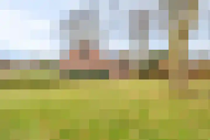Koloniesweg 5 Bellingwolde thumbnail 8